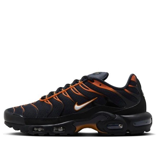 Nike Air Max Plus ‘Dark Obsidian Monarch’ FN6949-400